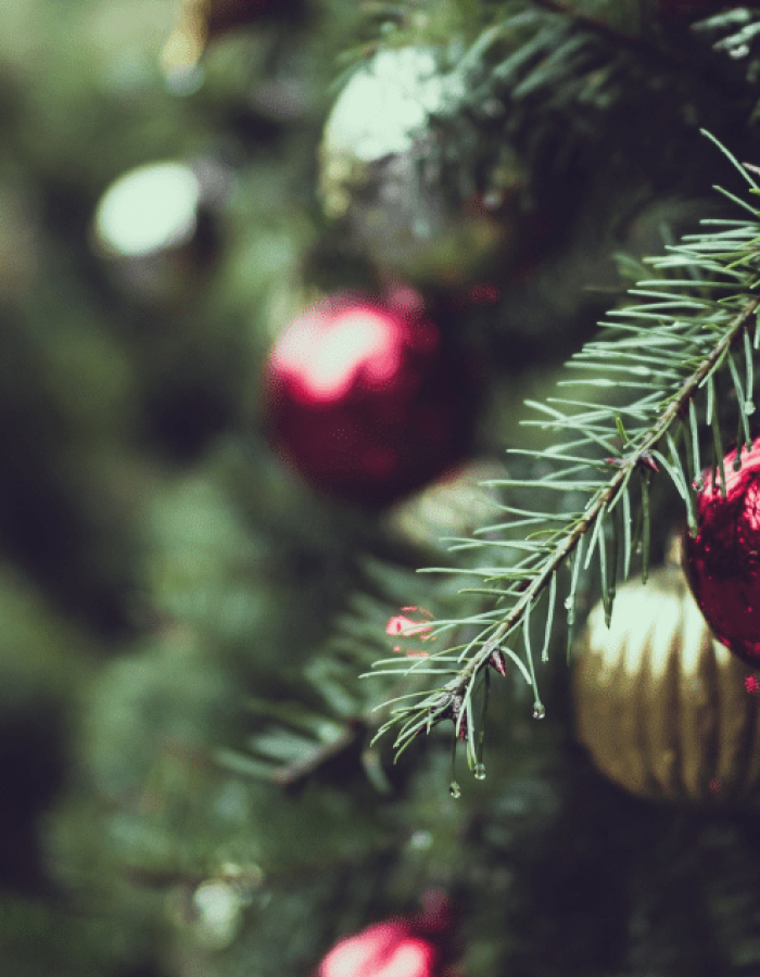 Food, Festivities, Favorites