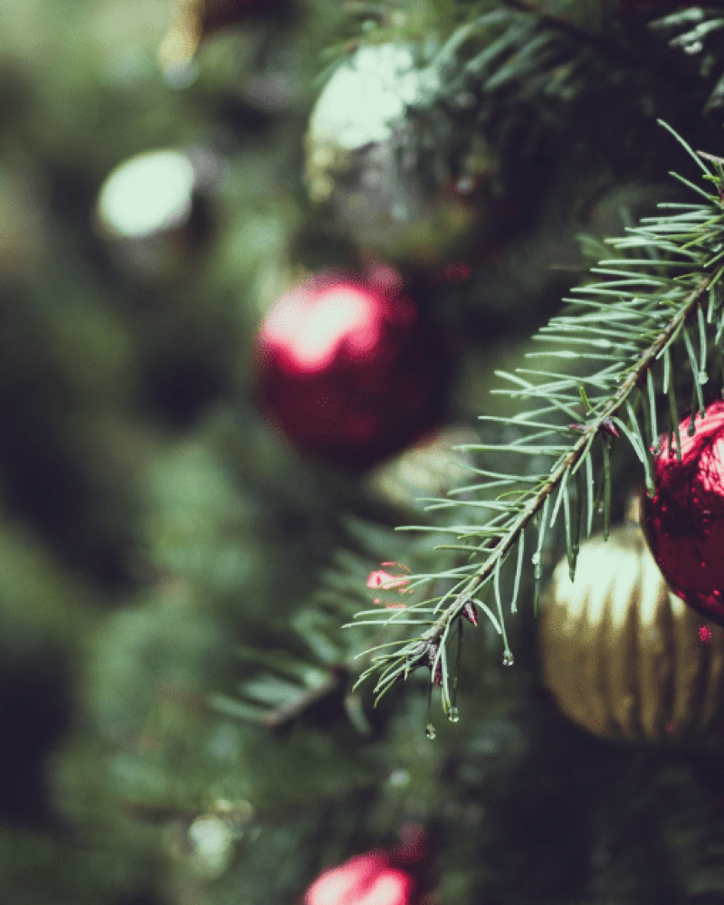 Food, Festivities, Favorites